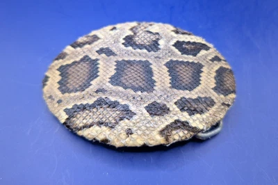 Real Burmese Python Snakeskin Belt Buckle Rolled Edge made in USA - Image 1 of 4