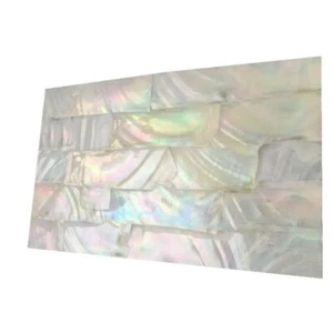 Natural Shell Laminated Veneer for Furniture Music Instrument Inlay Decoration - Picture 1 of 24