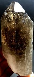 237g 1 Stück natürliches goldenes Haar Rutil Rauchquarz Kristall Spitze e465 - Bild 1 von 7