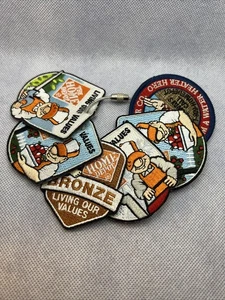 Home Depot Lot Of Patches On Ring / Homer Award Badge Patch Bronze - Picture 1 of 7
