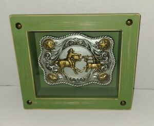 D&D Ranch Silver & Gold Rancher Lasso SHADOW BOX Home Decor, Green Wooden Frame