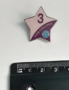 Girl Guides third year challenge badge, metal, not current programme,Girlguiding - Picture 1 of 1