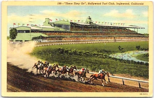 Postal de colección Hollywood Turf Club Park Horse Race Inglewood CA - Imagen 1 de 2