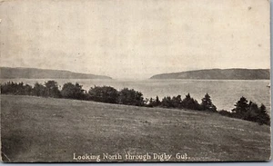 Argonaut Knoll, Digby, Nova Scotia RPPC (1900er Jahre) - Bild 1 von 2