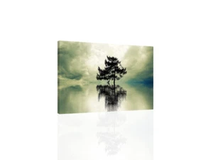 Lonliness - CANVAS OR PRINT WALL ART - Picture 1 of 2