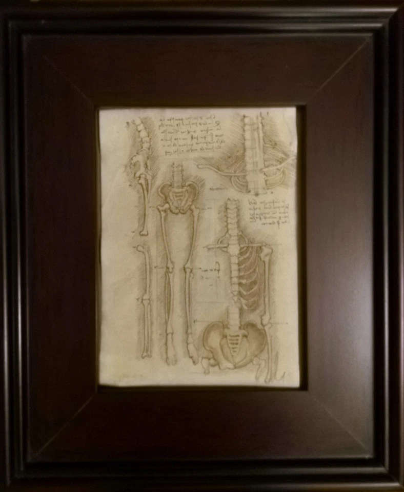 Anatomical studies from Leonardo da Vinci Codex ORIGINAL Ink Drawing - Image 1 of 4