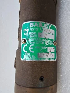 Válvula de seguridad Bailey DN25 FIG 707-2JVL - Imagen 1 de 3