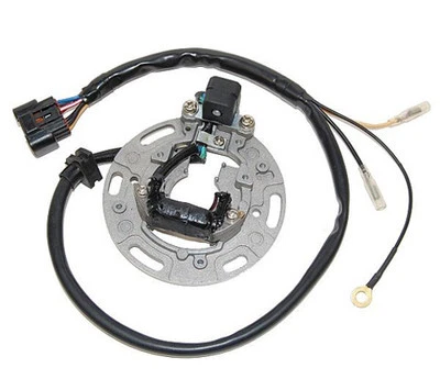 2001-2005 Kawasaki KX85 Dirt Bike ElectroSport Статор - Изображение 1 из 2