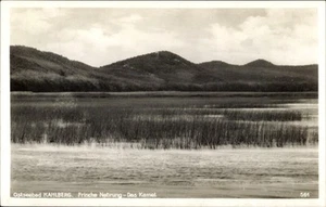 Ak Krynica Morska Ostseebad Kahlberg Ostpreußen, Frische Nehrung,... - 4714320 - Bild 1 von 2