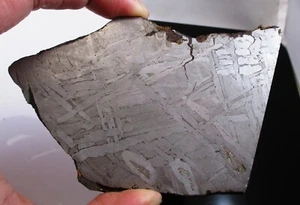 Brenham meteorite slice - 266 gram - pallasite -  Ex. Walton - Kansas - Picture 1 of 6