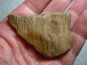 Fossil Quartz Wood Rare Kansas River Found Stone Rock Specimen 39.3 Grams - Picture 1 of 12