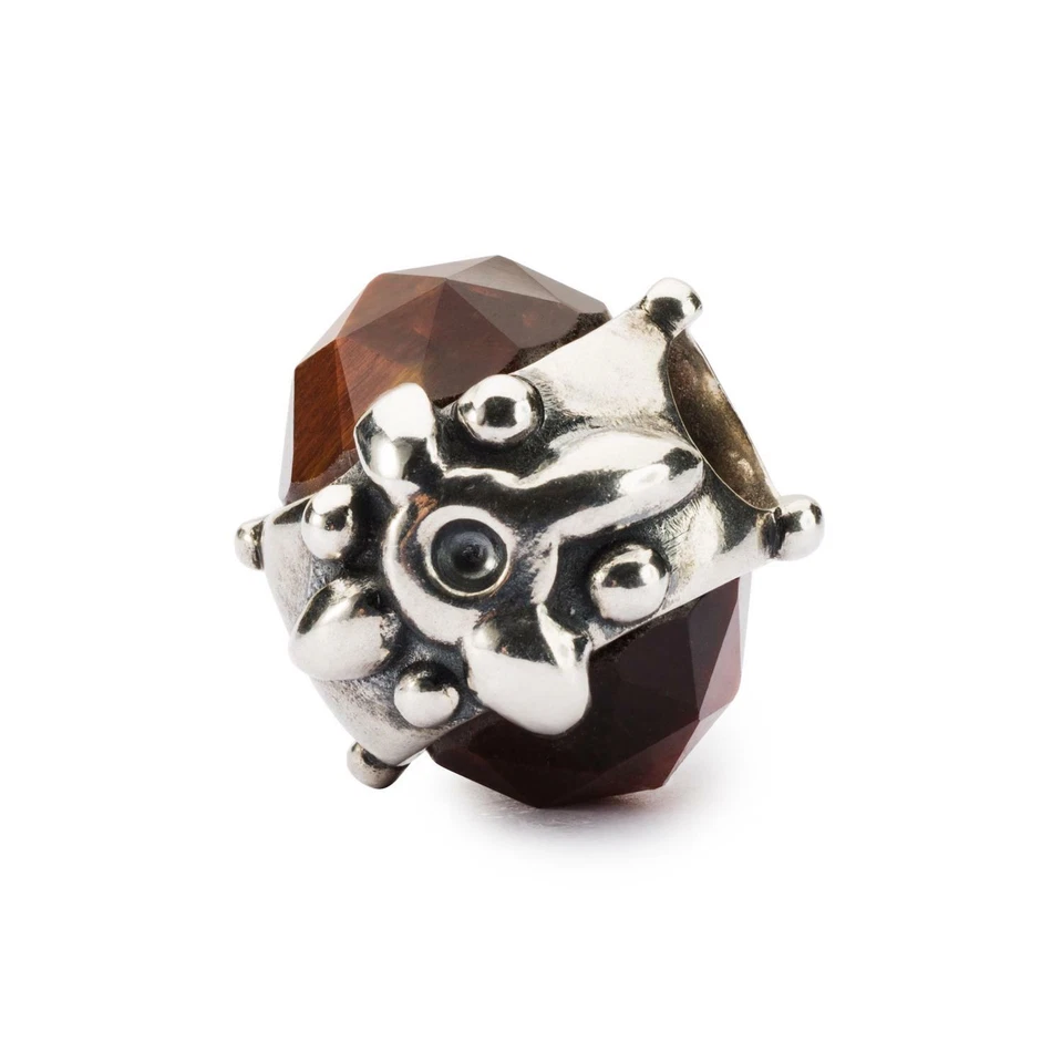 Trollbeads in Argento - Dono della Perseveranza Ref. TAGBE-00286 - Immagine 1 di 1