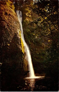 Postal cascada OREGON carretera escénica río Columbia OREGON - Imagen 1 de 2