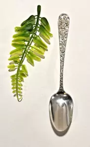 Stieff Rose Sterling Silver Teaspoon/Coffee Spoon 22 Grams No Mono. ML - Picture 1 of 12