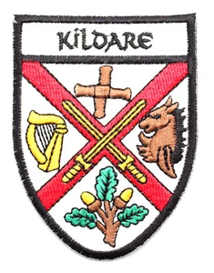 Kildare Irish County Crest Patch, Ireland Crest Patch, Kildare Ireland Gift - Picture 1 of 1