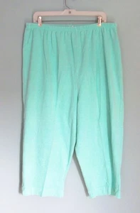 FRESH PRODUCE PULL ON FRENCH TERRY CAPRI EIJCA SIZE 2X TILE GREEN - Picture 1 of 1