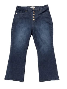 LOFT Blue Denim Curvy Crop Jeans Women's Size 30/10 Button Fly Dark Wash - Picture 1 of 10