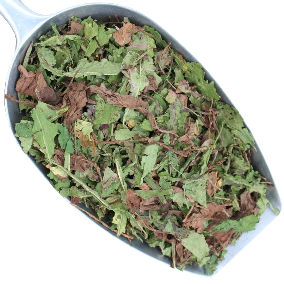 Löwenzahnkraut getrocknet 3 kg aus deutschem Anbau - Bild 1 von 1