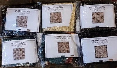 KIT TRAPUNTA CON TESSUTO RARO! Bicchiere Kim Diehl's Pride & Joy Henry 6 pezzi fuori produzione - Immagine 1 di 4