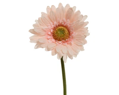 Gerbera 50cm Kunstblumen künstliche Seidenblumen Dekoblumen Tischdeko apricot - Bild 1 von 2