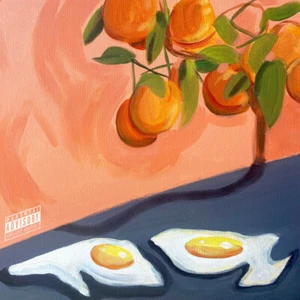 Zelooperz Valley Of Life vinyl LP exclusive SLIPMAT + EGG LP HOLDER BUNDLE NEW/S - Picture 1 of 5