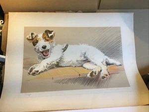 Impresión de un Jack Russell Terrier llamado trapos por Morgan Dennis American 1892-1960  - Imagen 1 de 4