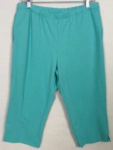Ruby Rd Capri Pants Women Size S Light Blue Pull On Elastic Waist Mid Rise - Picture 1 of 11