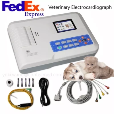 Electrocardiograph Digital 3 Channel ECG Machine 5 Lead EKG, Veterinary,US - Image 1 of 4