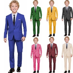 Boys Suit Wedding Ring Bearer Formal Blazer Pants Graduation Tuxedo Two Pieces - Picture 1 of 27