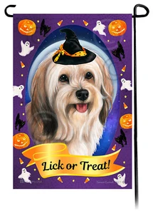 Halloween Garden Flag - Cream Sable Tibetan Terrier - Picture 1 of 1