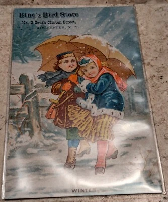 *ESCASO* BING'S BIRD STORE PÁJAROS CANTORES, CRIADORES DE LOROS CLINTON ST. ROCHESTER, NY Foto 1 de 2