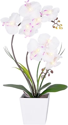 Lámpara de orquídea Homeseaons - Arreglos de orquídea iluminados con led, orquídea artificial pre iluminada Foto 1 de 4