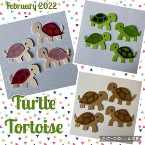 Tortugas tortuga animal mascota mascotas zoológico jardines bebé troquelados - Imagen 1 de 15