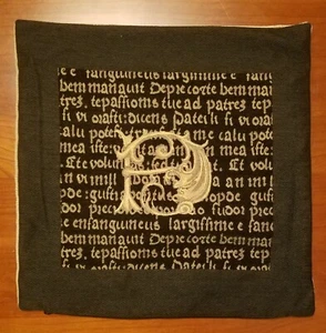 Pillow Cover Black Pattern Jacquard Woven (Includes 2) - Picture 1 of 1