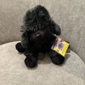 Caniche negro Webkinz WEX005 Extravaganza Pet 8" con código sin usar - Imagen 1 de 6