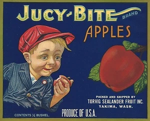 SELTEN ALT 1930 APFELKLOPFER KIND "JUCY-BITE BRAND" APFELKISTE ETIKETT YAKIMA WASCHE - Bild 1 von 1