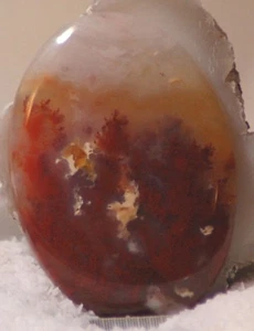 Carey Plume Agate Oval Cabochon 82 carats - Picture 1 of 4