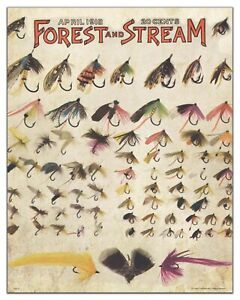 Trout Fly Fishing Magazine Cover Art Print 11x14 Vintage Lures Cabin Wall Decor