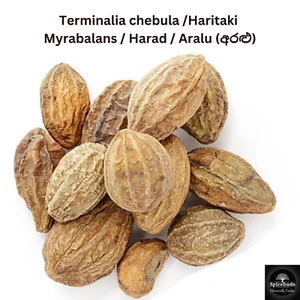 Haritaki Intero | Terminalia chebula | Aralu (අරළු) Dadi Magiche Ayurvediche TRIPHALA - Foto 1 di 7