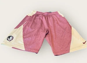 Florida State Shorts Men’s L Red FSU Nike Dri-Fit Long Performance Seminoles NEW - Picture 1 of 11