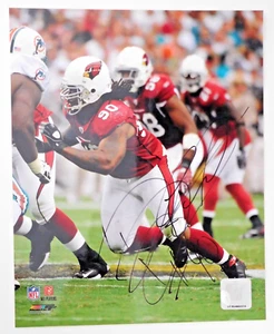 DARNELL DOCKETT foto firmata 8x10 Arizona Cardinals Florida State Seminoles - Foto 1 di 1