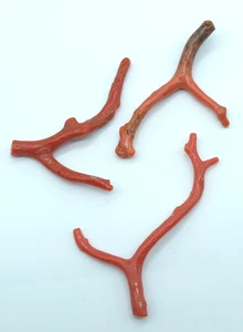 Genuine Red Coral Branch 100%Natural Italian Red Coral Polished Branch Gemstone - Picture 1 of 9