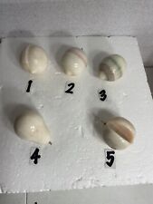 1 CHOICE Vtg. White Onyx Marble Alabaster Imitation Fruit - Italy Appx 4" x 2.5"