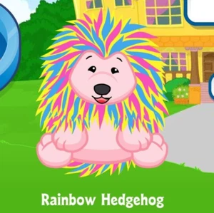 Webkinz Classic Rainbow Hedgehog Pet Code Only - Picture 1 of 1