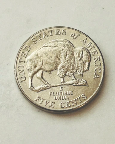 Rare 2005 D Buffalo Nickel Unique Collectors item With Errors Cover