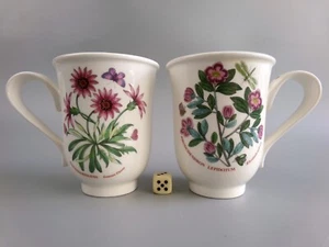 Portmeirion Botanic Garden Mugs x 2. Rhododendron & Treasure Flower. 4.25" 350ml - Picture 1 of 7