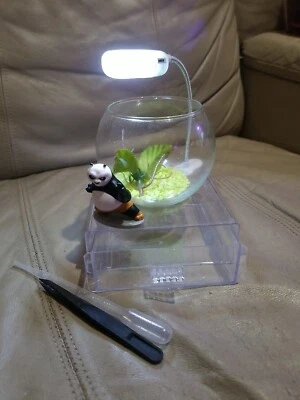  Mini 4 Inch Glass Bowl Beta Fish Tank With Storage Base Led Light Panda Deco - Image 1 of 4