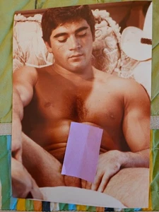 BART FORBES Original Fox Studio Model Gay Muscles Physique 5x7 Foto Farbe - Bild 1 von 2