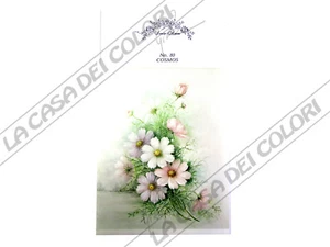 SONIE AMES- SCHEDA PITTURA PORCELLANA - PAINTING STUDY - NR 80 COSMEA - COSMOS - Picture 1 of 1