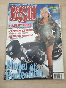 Back Street Heroes Issue 225 Jan 2003 International Custom Motorcycle Magazine - Picture 1 of 6
